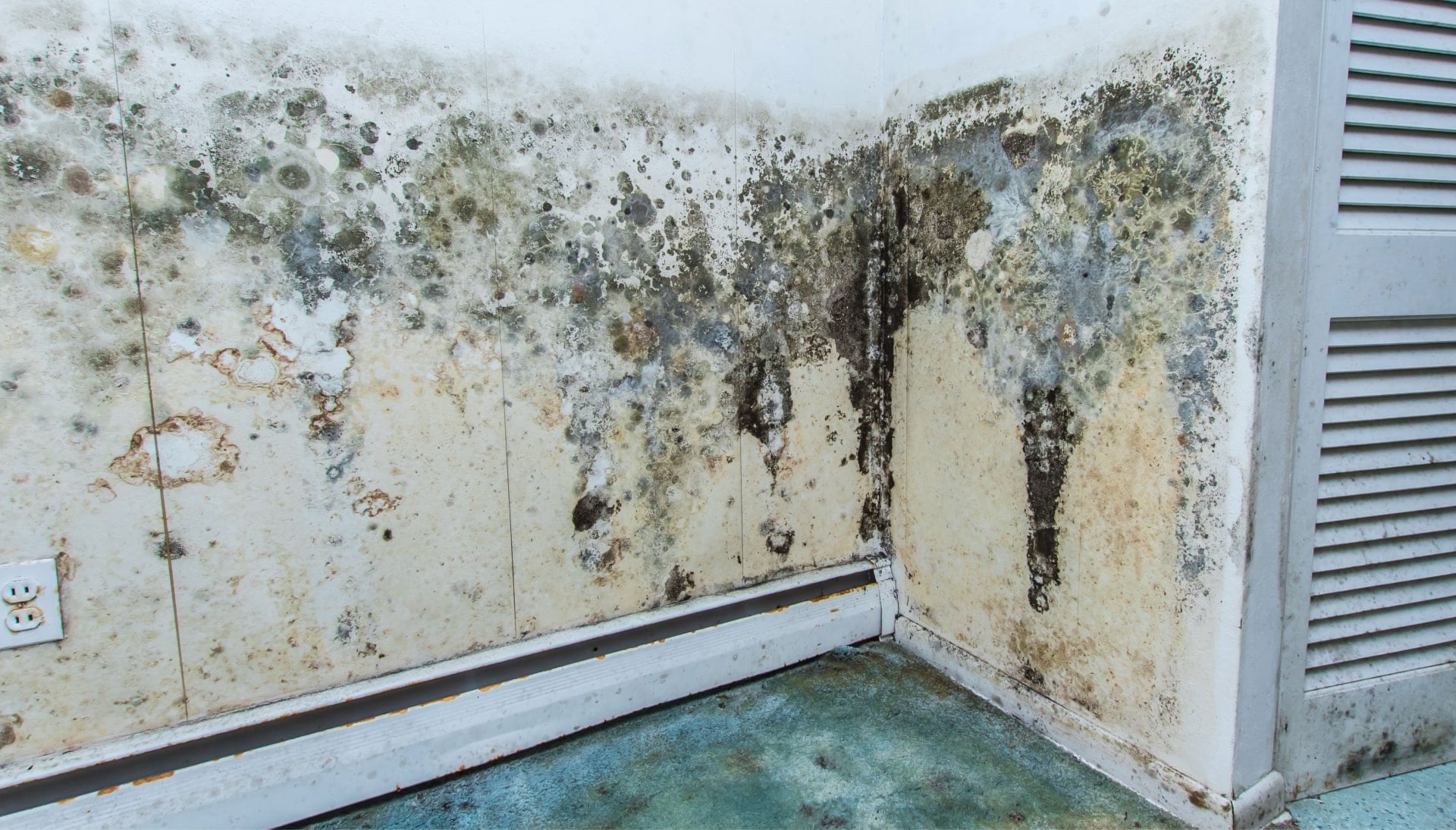 Mold-Damager-Odor-Control in Greensboro