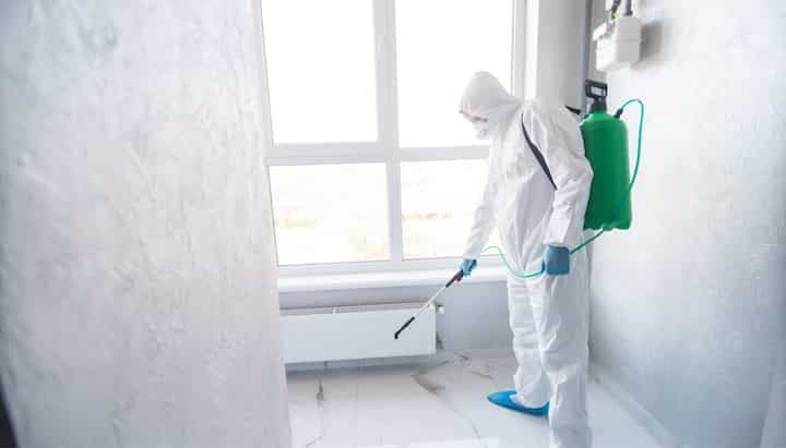 Mold-Inspection in Greensboro